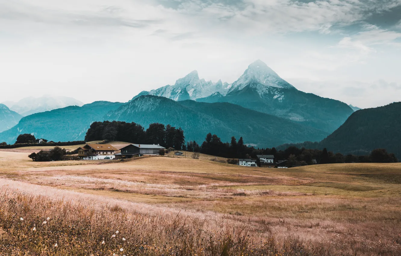 Photo wallpaper field, autumn, forest, the sky, grass, clouds, mountains, tops