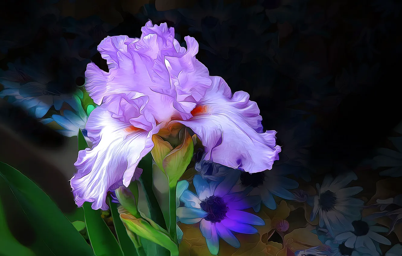 Photo wallpaper macro, line, flowers, paint, petals, iris