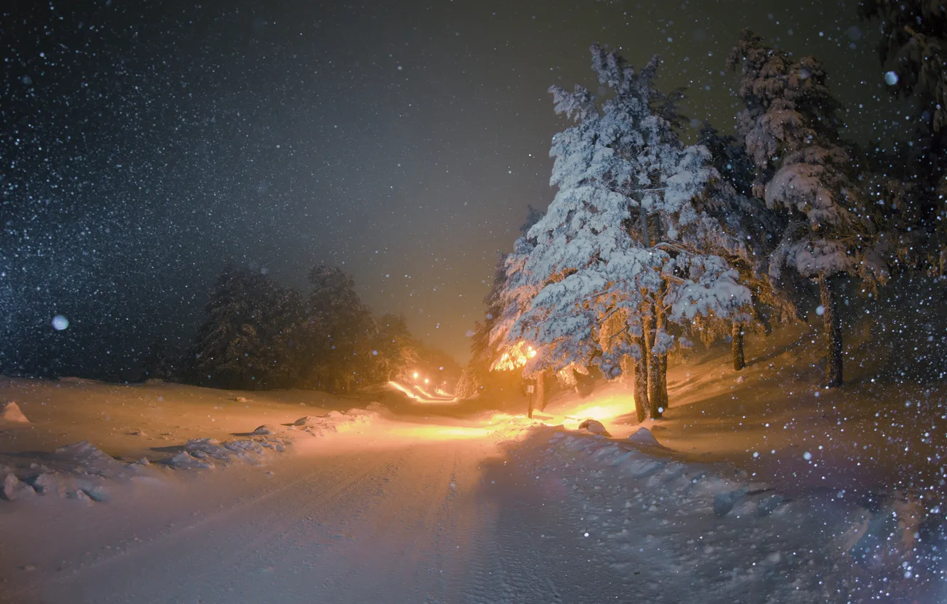 Photo wallpaper winter, road, snow, night, tree, lighting, lights, snowfall