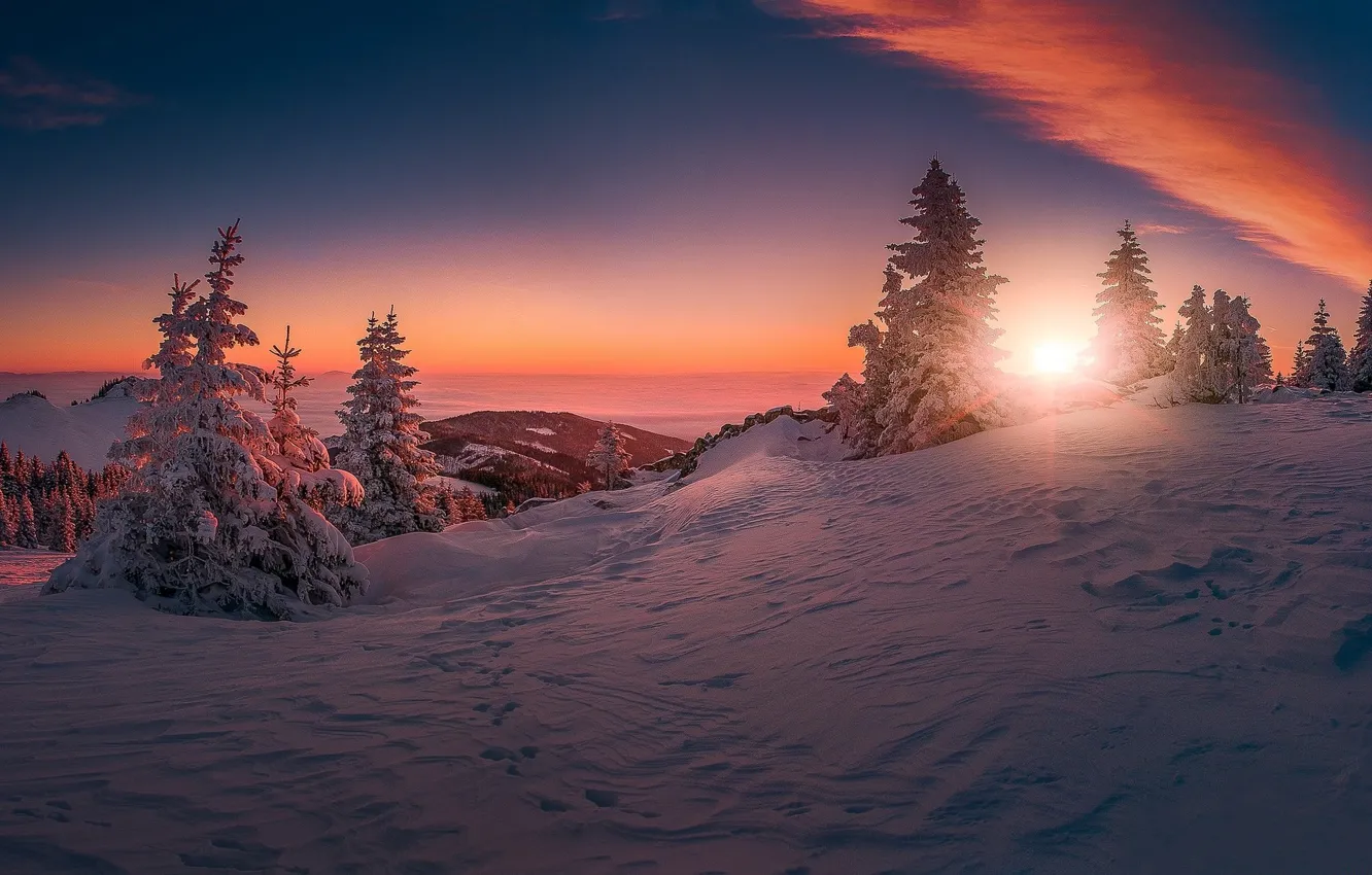 Photo wallpaper winter, snow, sunset, the evening
