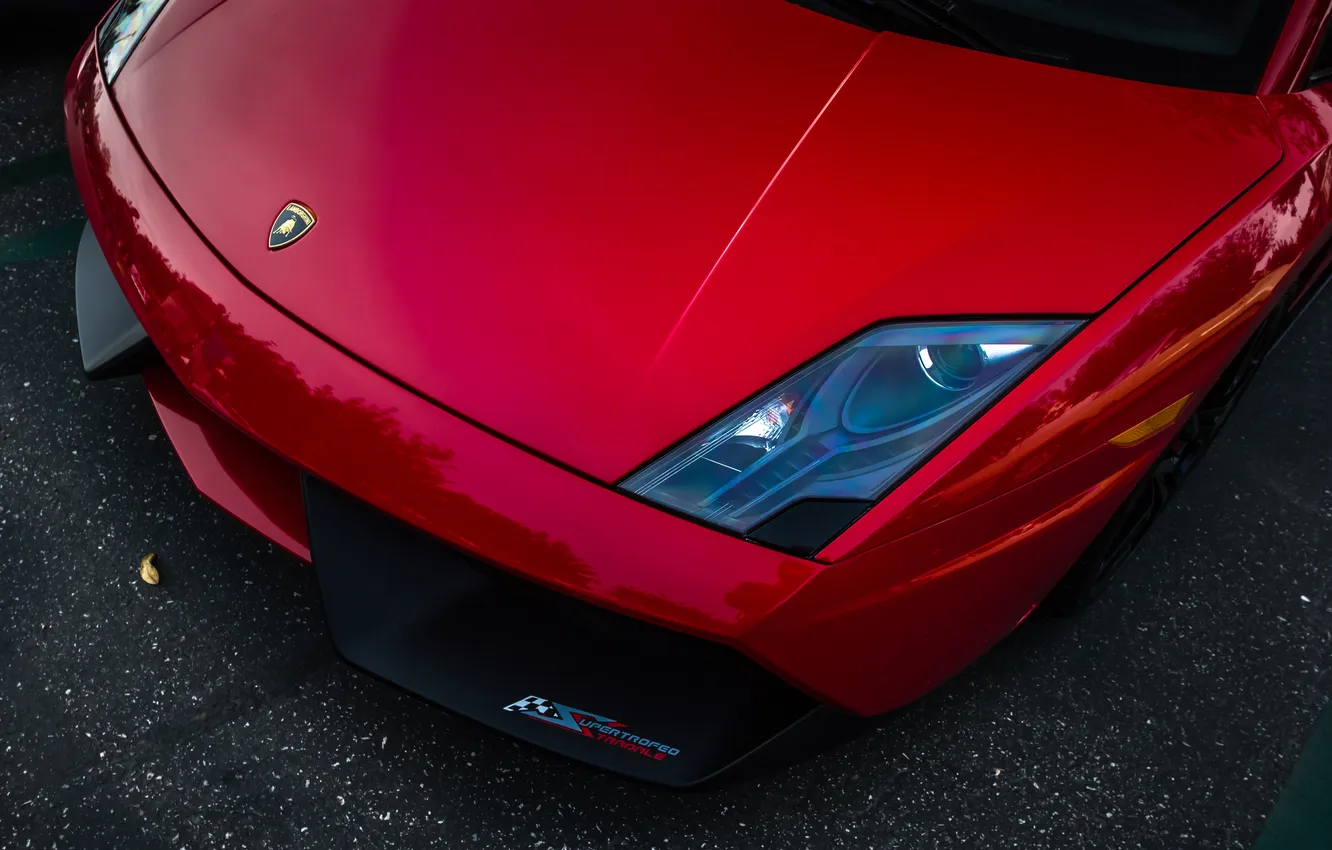 Photo wallpaper red, headlight, supercar, red, gallardo, lamborghini, Lamborghini, Gallardo