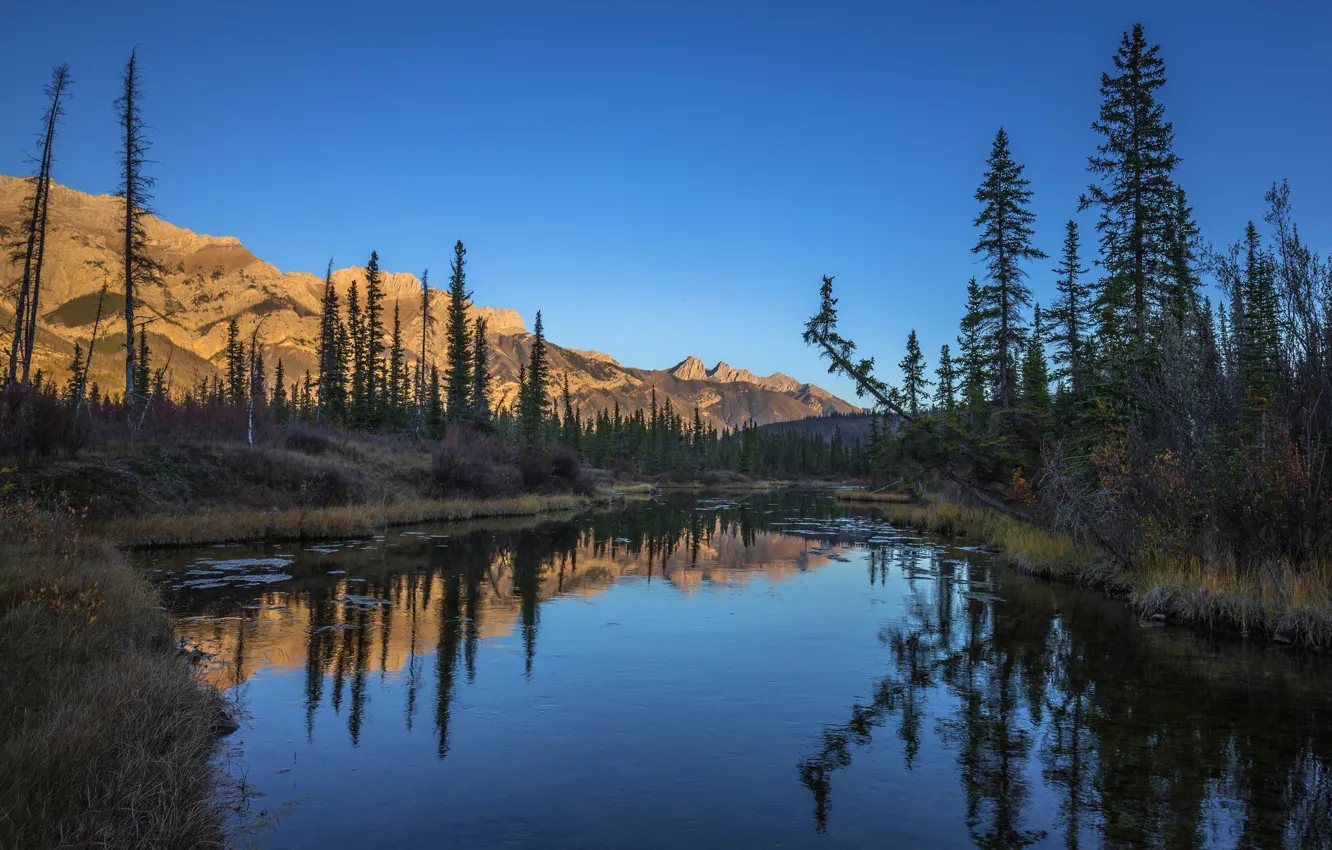 Photo wallpaper forest, lake, reflection, Canada, Jasper National Park, Glory Hole