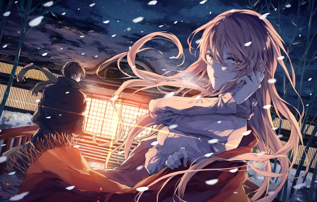 Photo wallpaper the wind, ladder, the light in the Windows, the night sky, pink hair, the first …