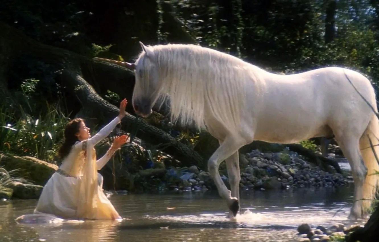 Photo wallpaper fantasy, art, Legend, unicorns