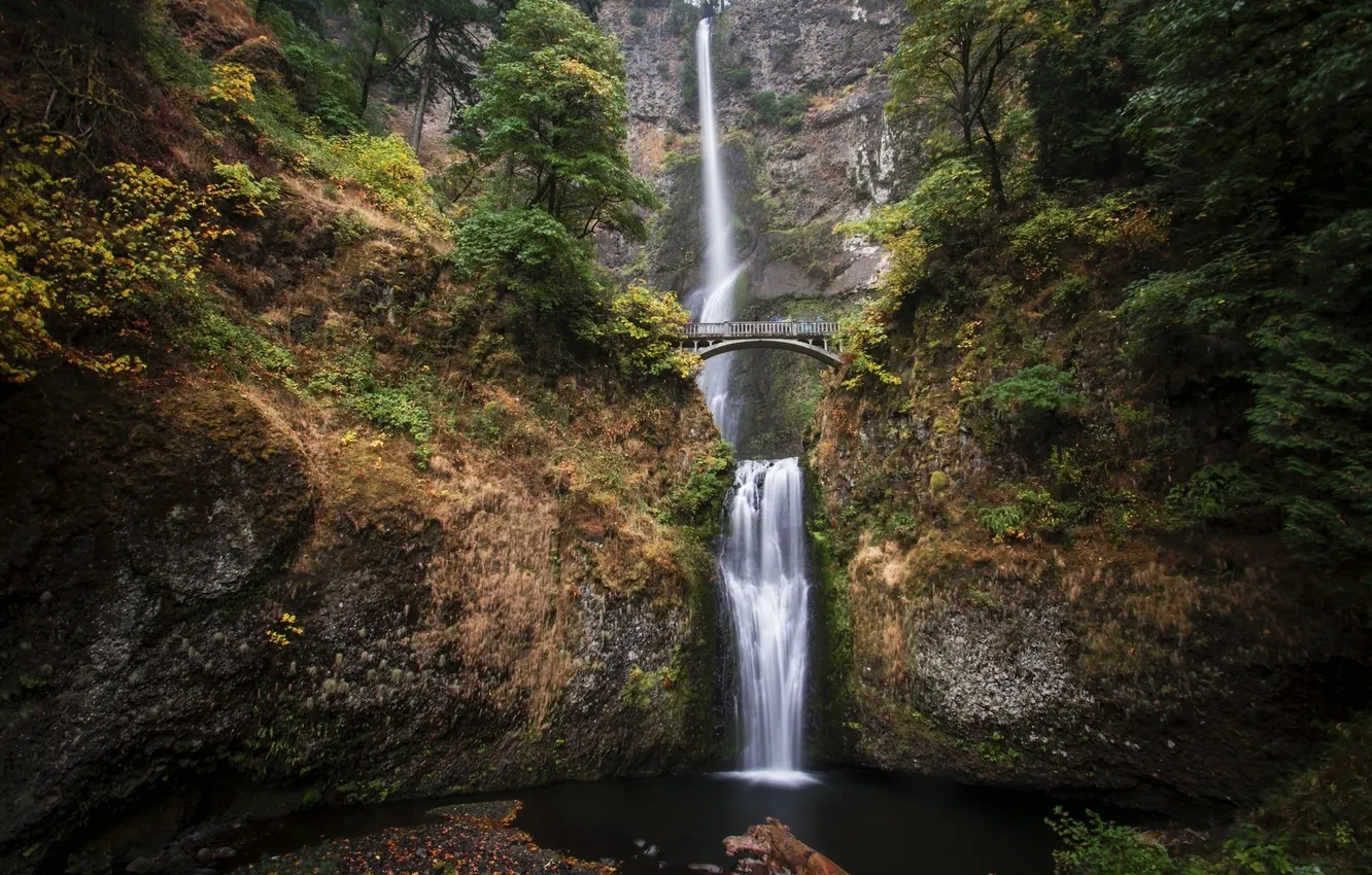 Photo wallpaper bridge, rocks, stream, Oregon, Oregon, the Multnomah falls, Multnomah falls