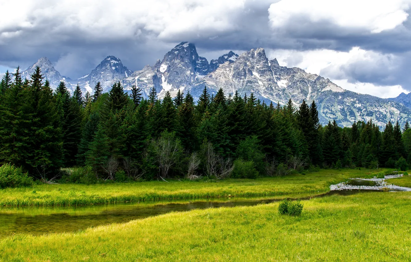 Photo wallpaper forest, trees, mountains, nature, stream, river, Grand Teton National Park
