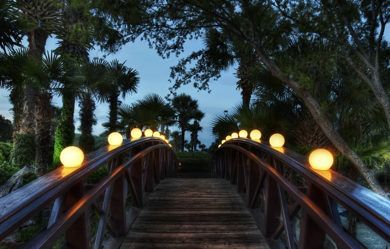 Photo wallpaper bridge, palm trees, the evening, lights