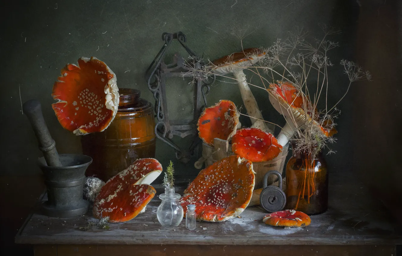 Photo wallpaper castle, mushrooms, dust, frame, mushroom, dill, Bank, pot