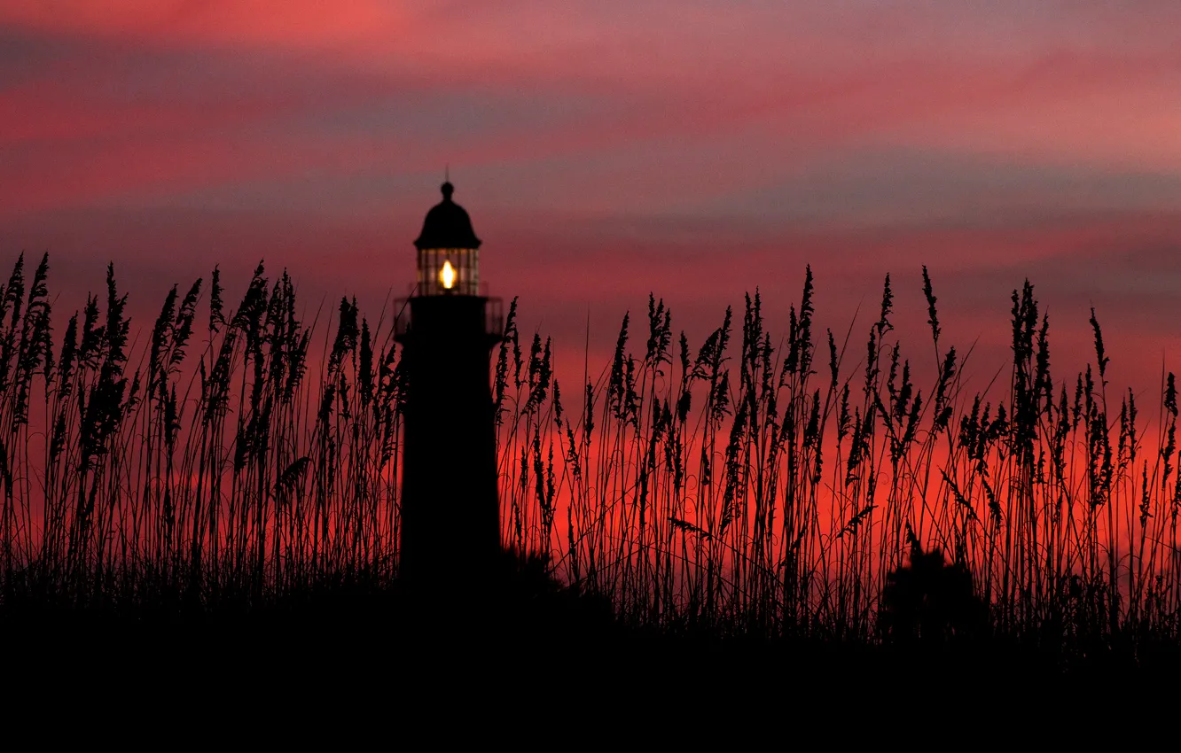 Photo wallpaper the sky, clouds, sunset, lighthouse, plants