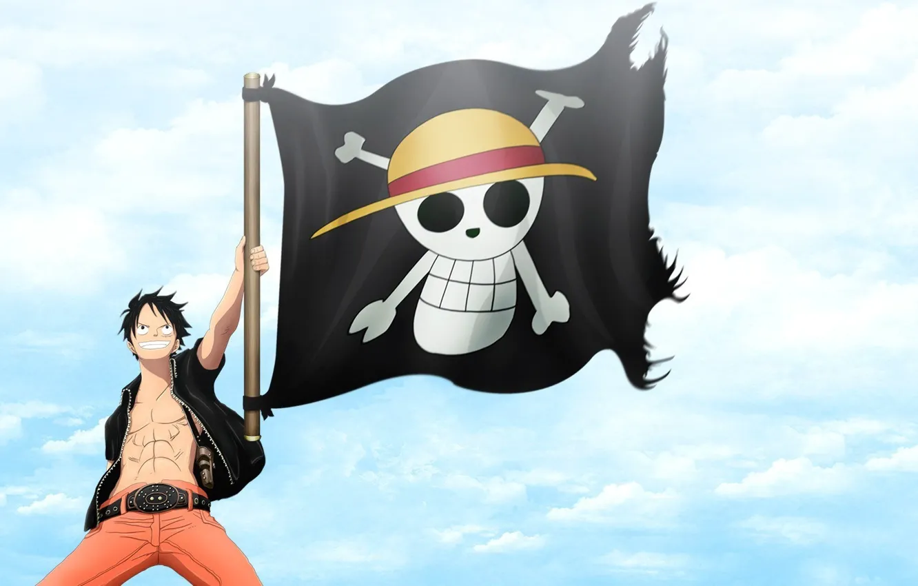 Photo wallpaper sake, gun, pistol, logo, game, One Piece, sky, pirate