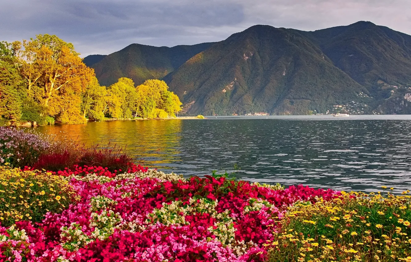 Photo wallpaper landscape, flowers, mountains, nature, lake, photo