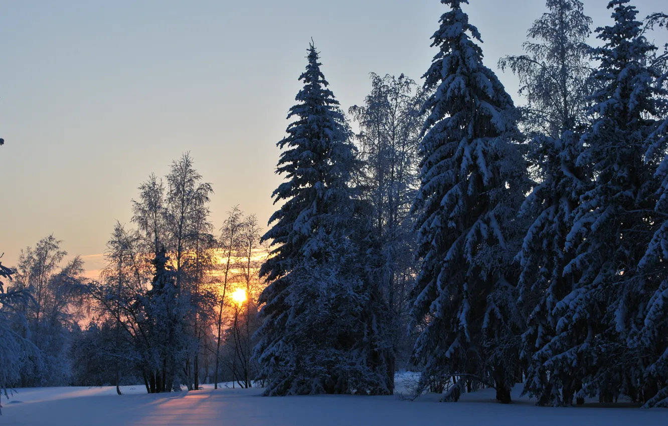 Photo wallpaper cold, winter, forest, dawn, Ust ' -Kut