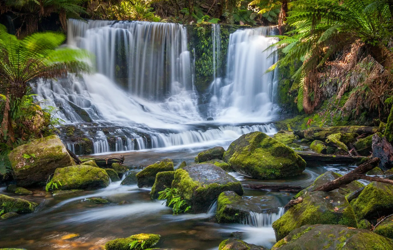 Photo wallpaper forest, river, stones, waterfall, moss, Australia, cascade, Australia