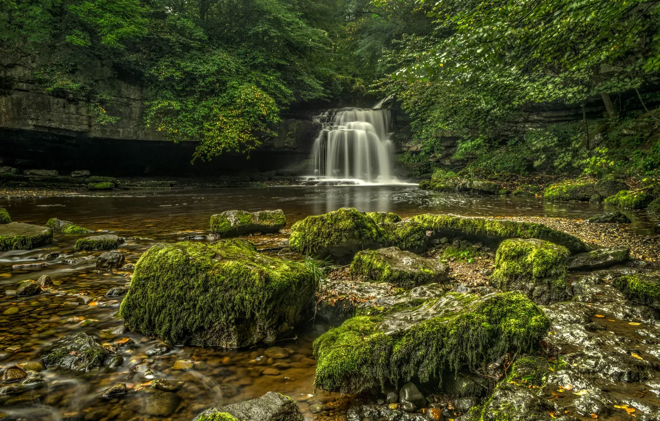 Photo wallpaper forest, trees, stones, rocks, waterfall, stream