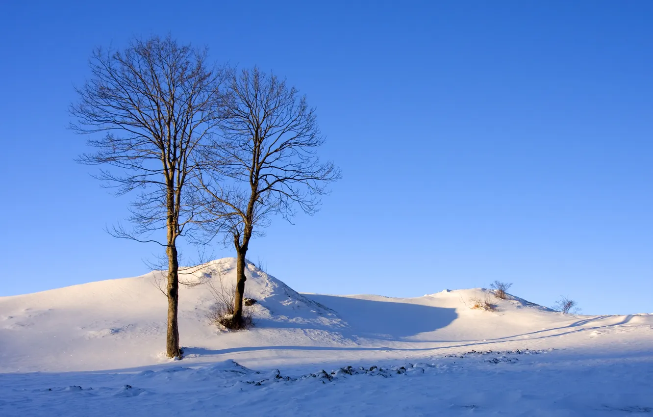 Photo wallpaper winter, the sky, snow, trees, nature, hills, Wallpaper