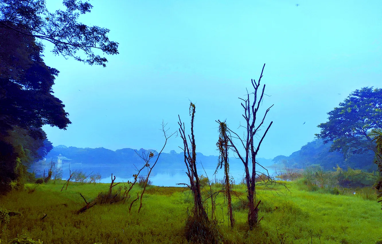 Photo wallpaper sky, trees, water, winter, lake, morning, fog, bushes