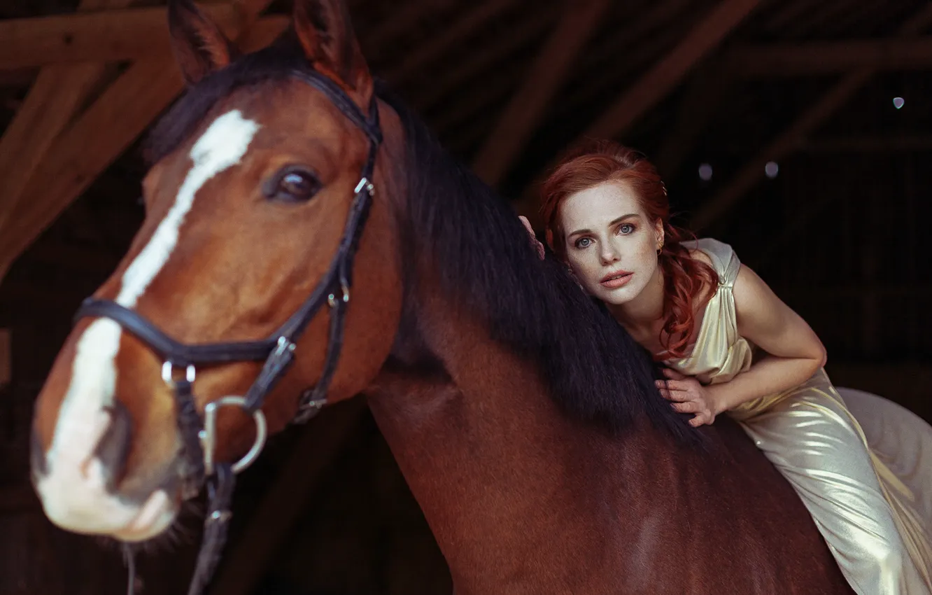 Photo wallpaper look, girl, horse, horse, red, redhead