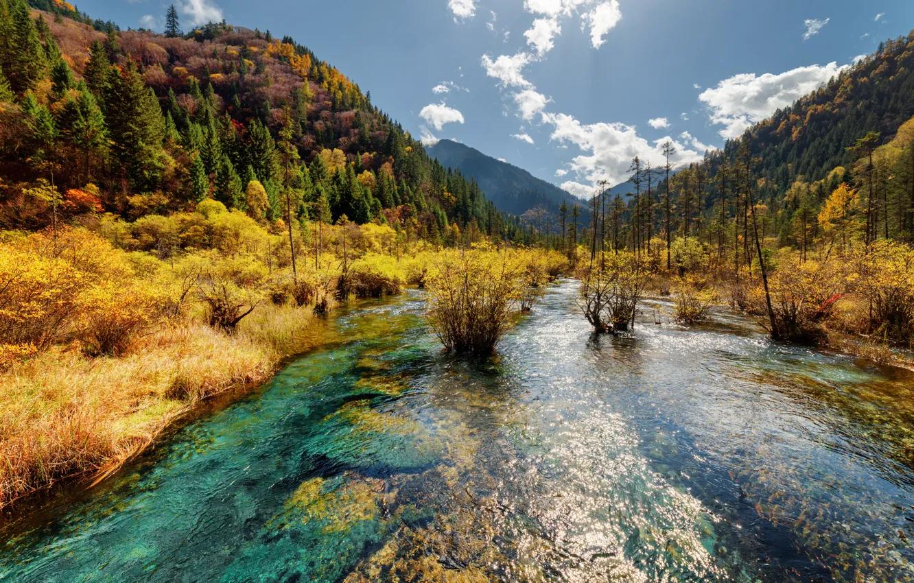 Photo wallpaper autumn, forest, the sky, the sun, clouds, trees, mountains, Park
