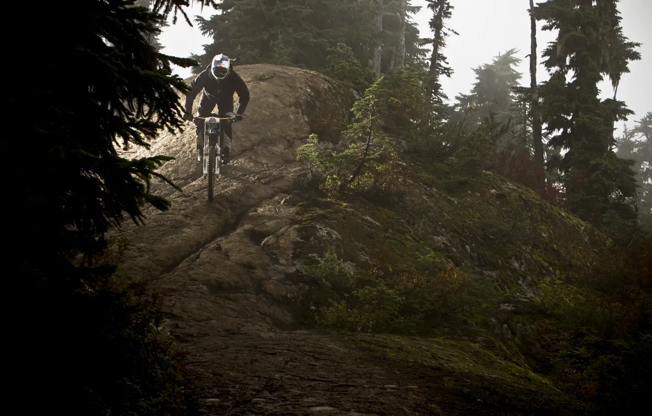 Photo wallpaper forest, Sasha Grey, bike, mountain, Jordan Carver, ride