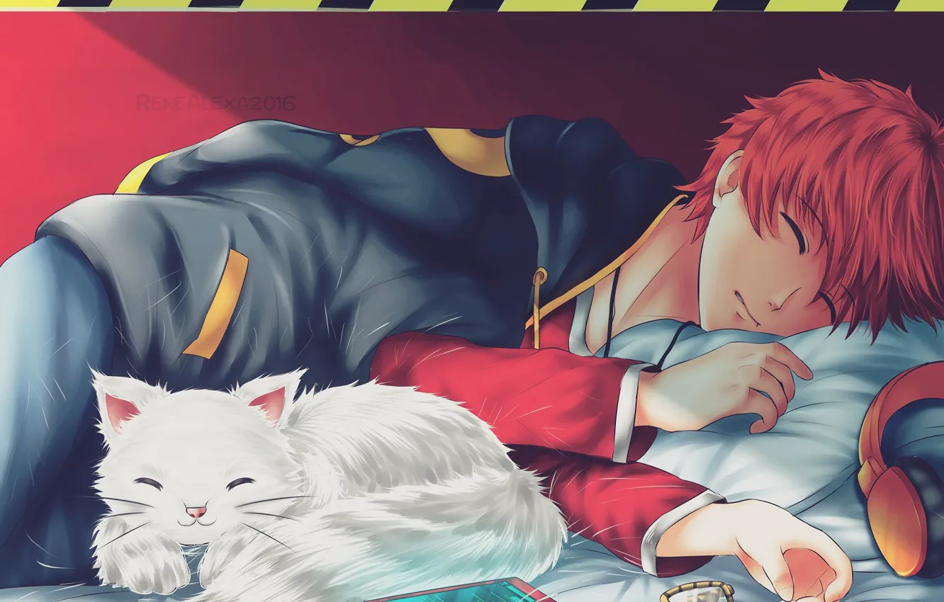 Photo wallpaper cat, cat, guy, 707, Mystic Messenger