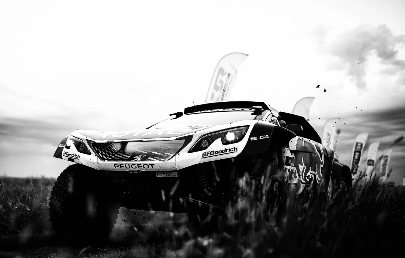 Photo wallpaper race, sport, lights, speed, dirt, Peugeot, Red Bull, Rally