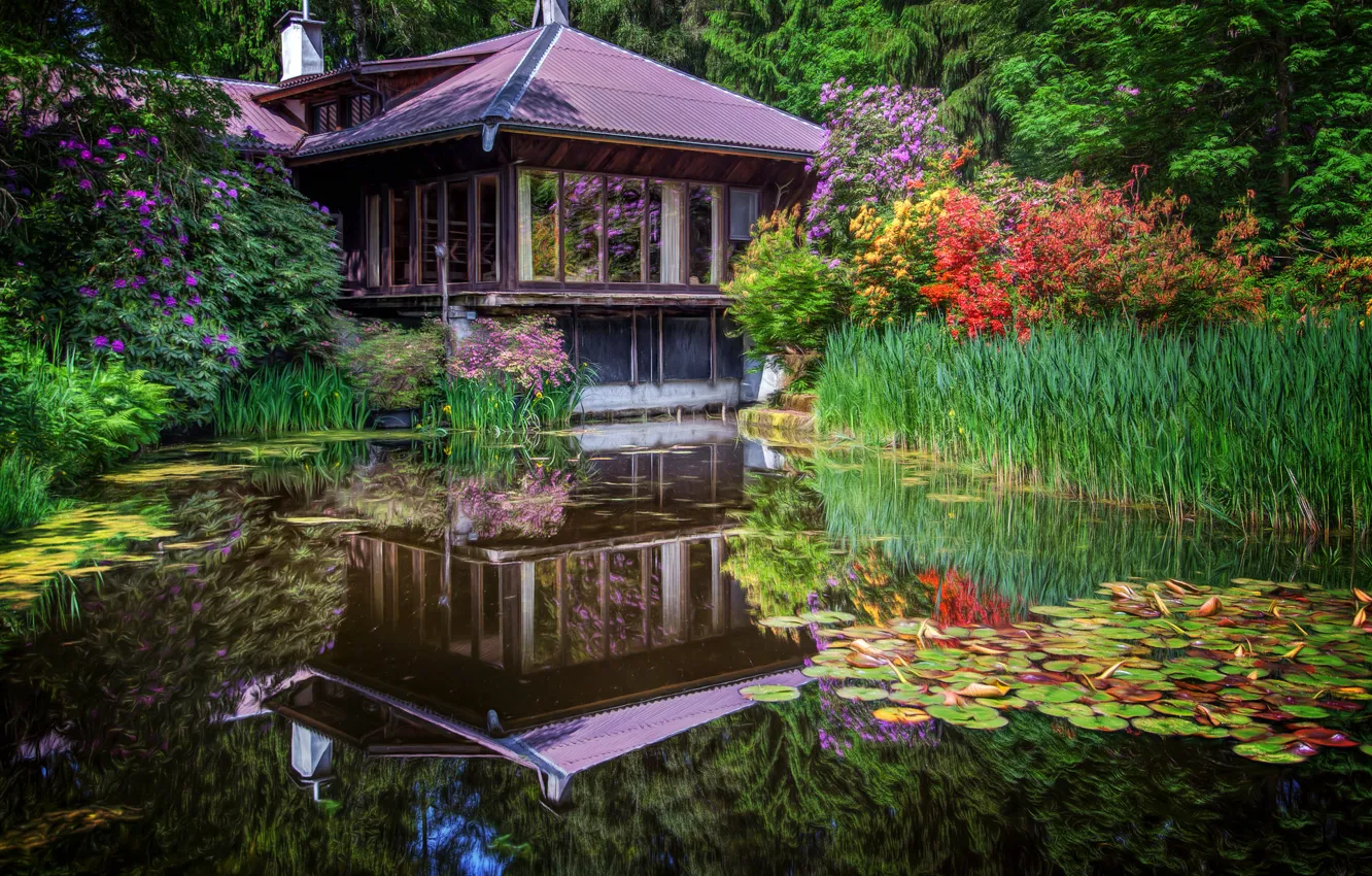 Photo wallpaper flowers, pond, Park, reflection, the reeds, Japan, house