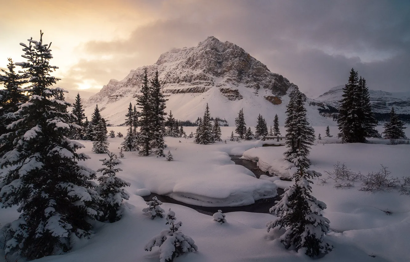 Photo wallpaper winter, forest, the sky, clouds, light, snow, mountains, rocks