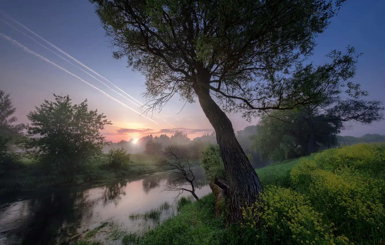 Photo wallpaper summer, grass, trees, landscape, nature, fog, river, shore