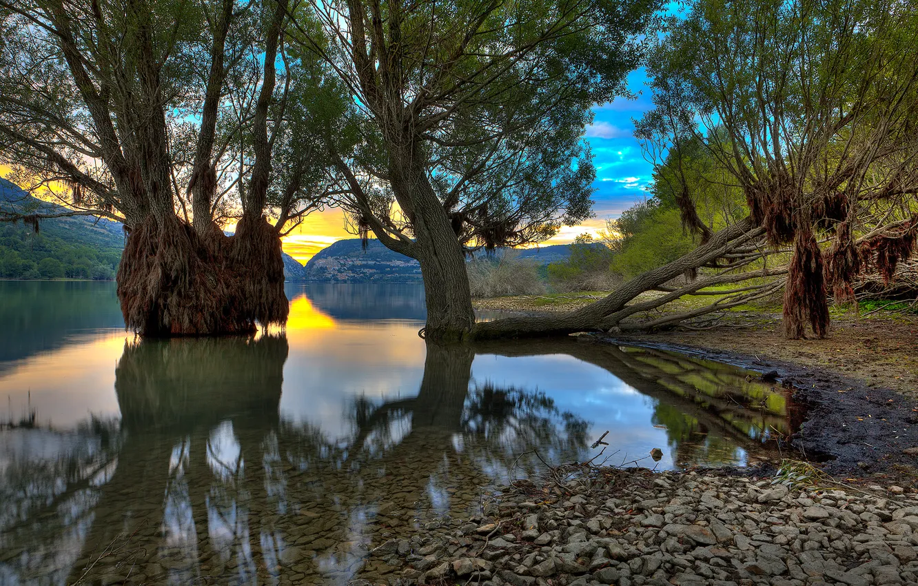 Photo wallpaper trees, lake, Villetta Barrea lake