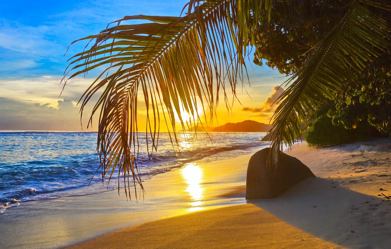 Photo wallpaper sand, beach, the sun, clouds, stones, palm trees, the ocean