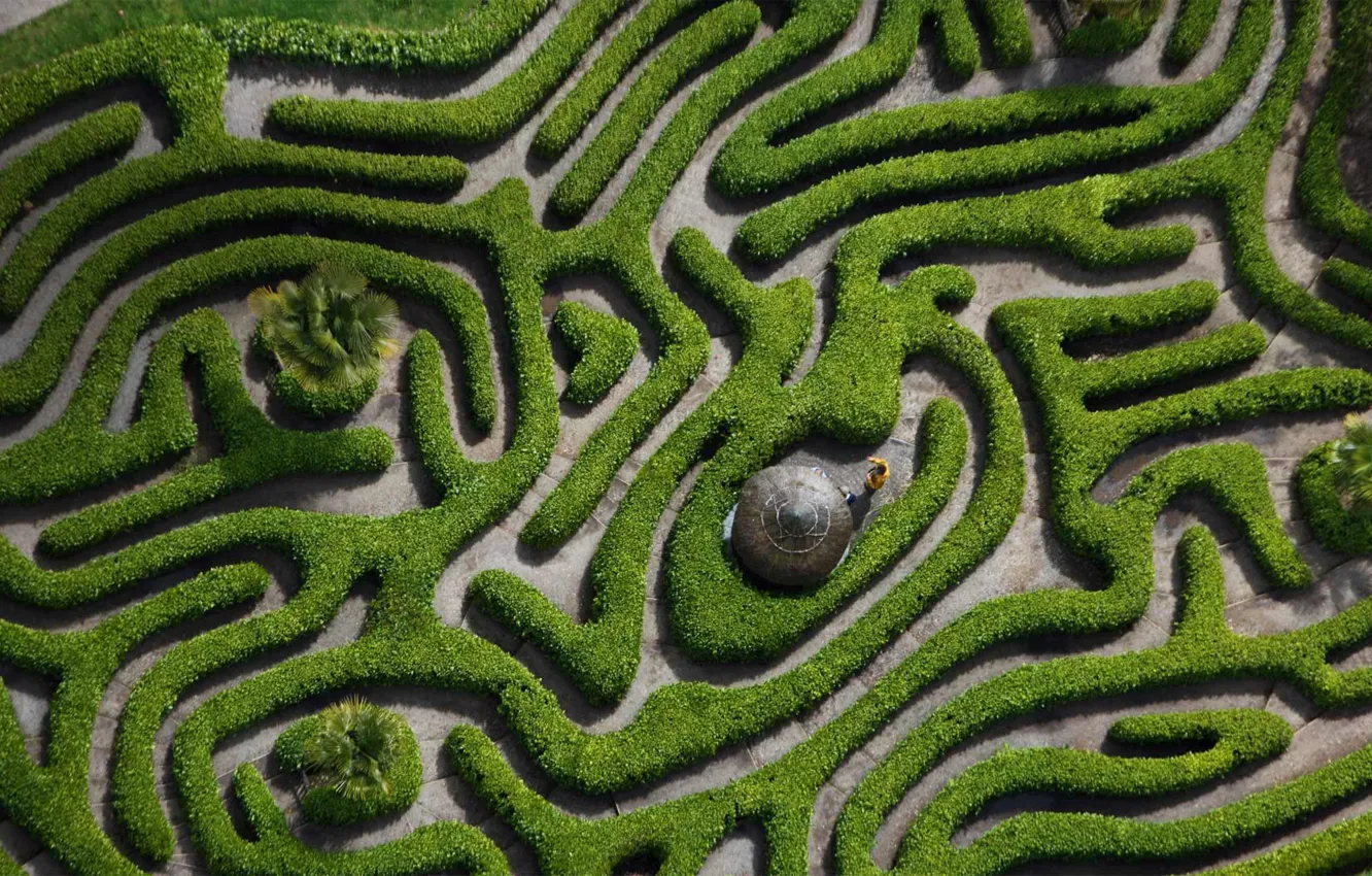 Photo wallpaper England, maze, the Laurel drug