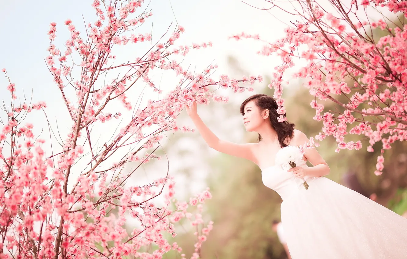 Photo wallpaper girl, spring, Sakura, Asian