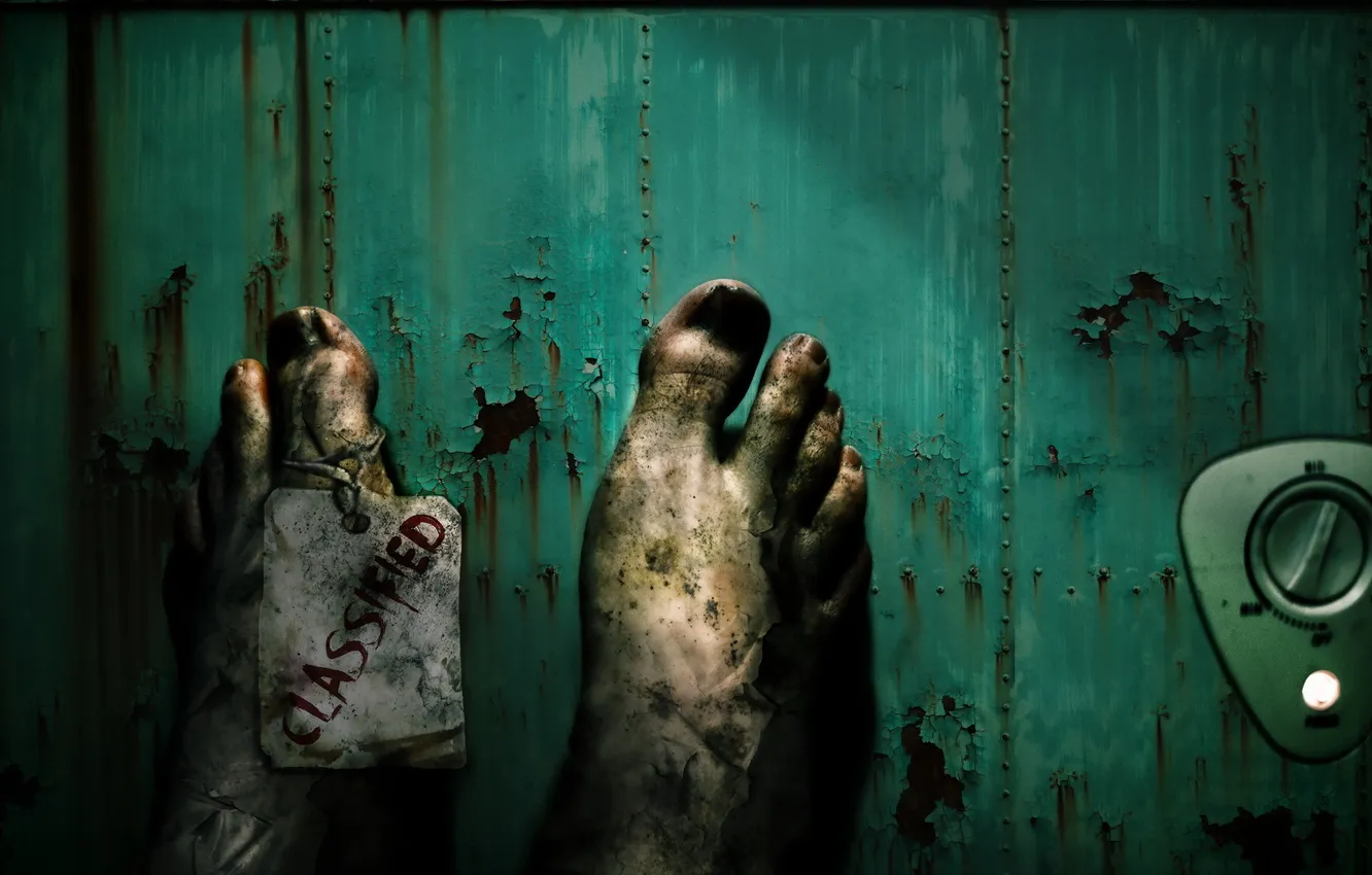 Photo wallpaper macro, background, feet