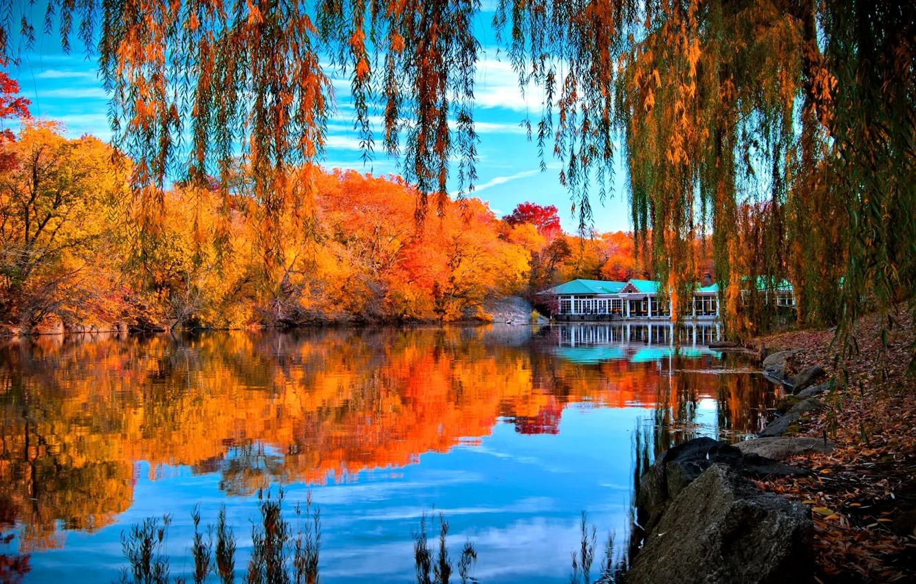 Photo wallpaper autumn, trees, branches, reflection, stones, foliage, yellow, river