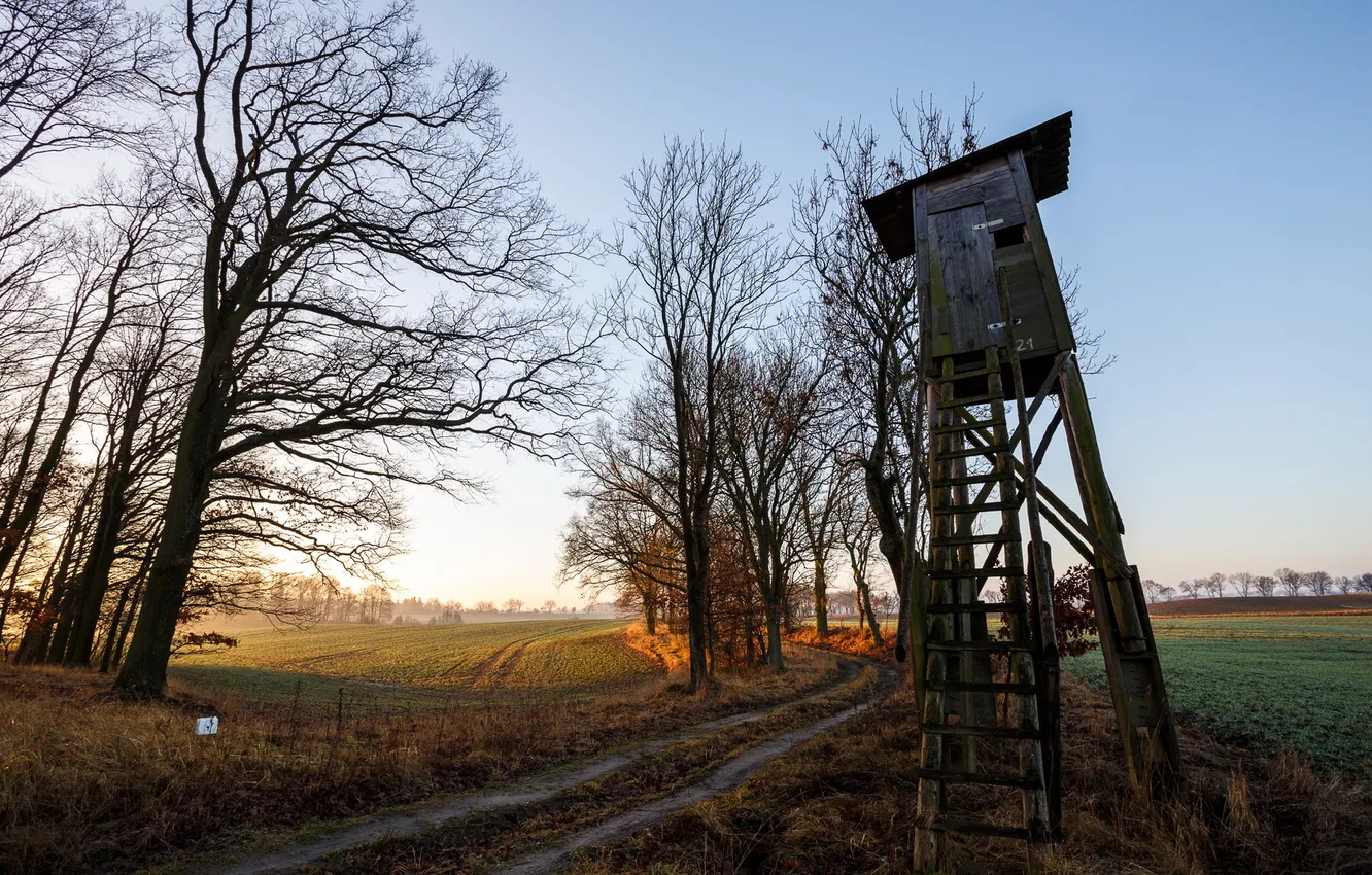 Photo wallpaper road, morning, tower