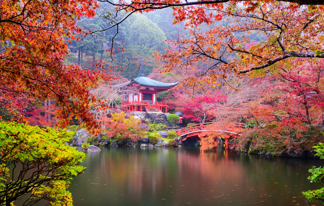 Photo wallpaper autumn, leaves, trees, branches, bridge, pond, Park, stones
