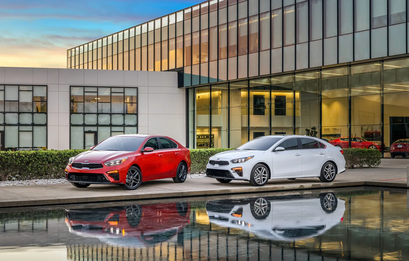 Photo wallpaper auto, pool, salon, Kia, Forte