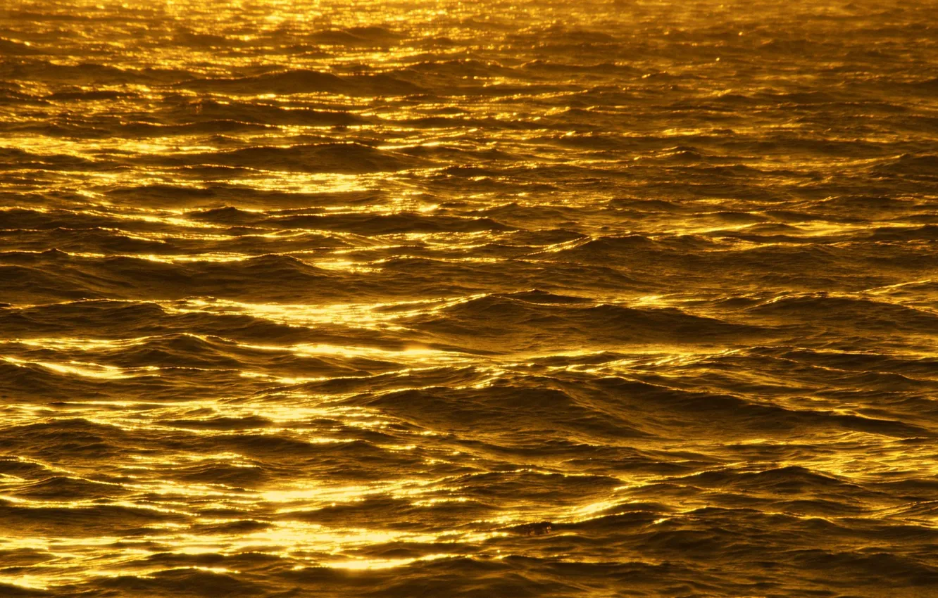 Photo wallpaper sea, wave, the sun, the reflection