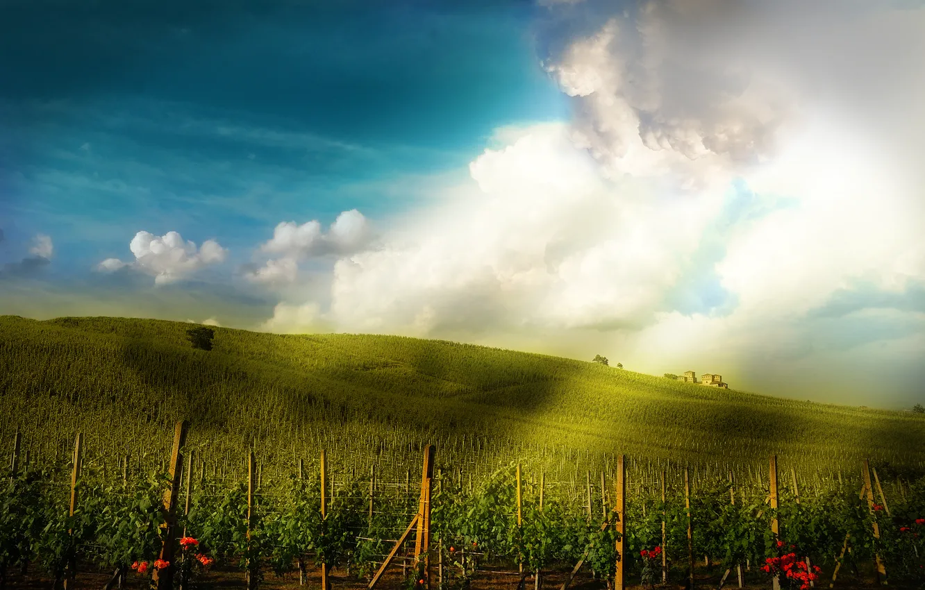 Photo wallpaper field, the sky, flowers, building