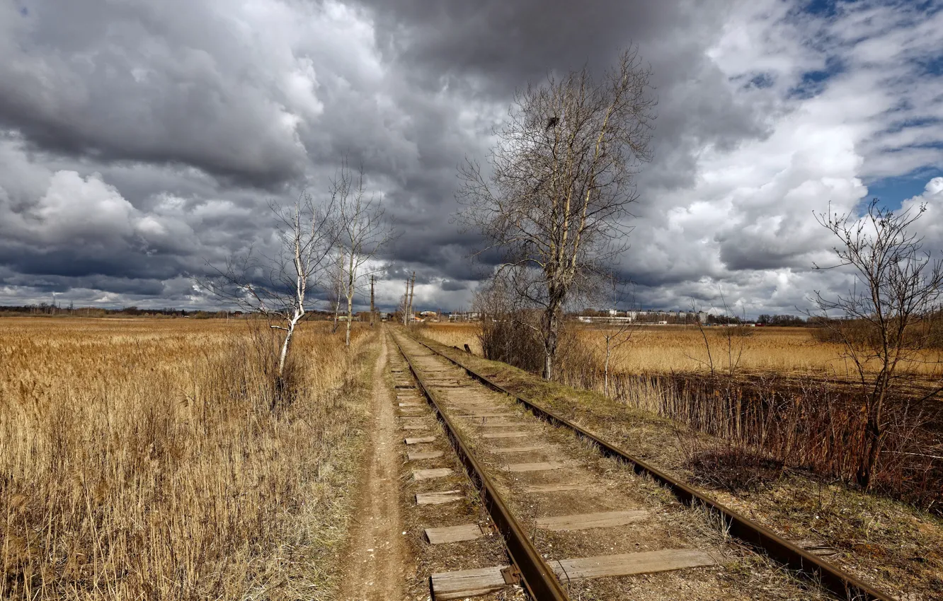 Photo wallpaper field, the sky, railroad