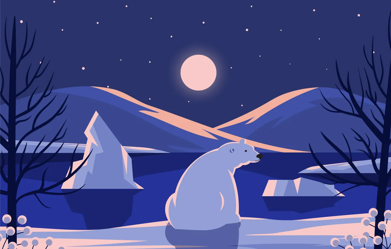 Photo wallpaper winter, stars, snow, trees, landscape, mountains, night, branches