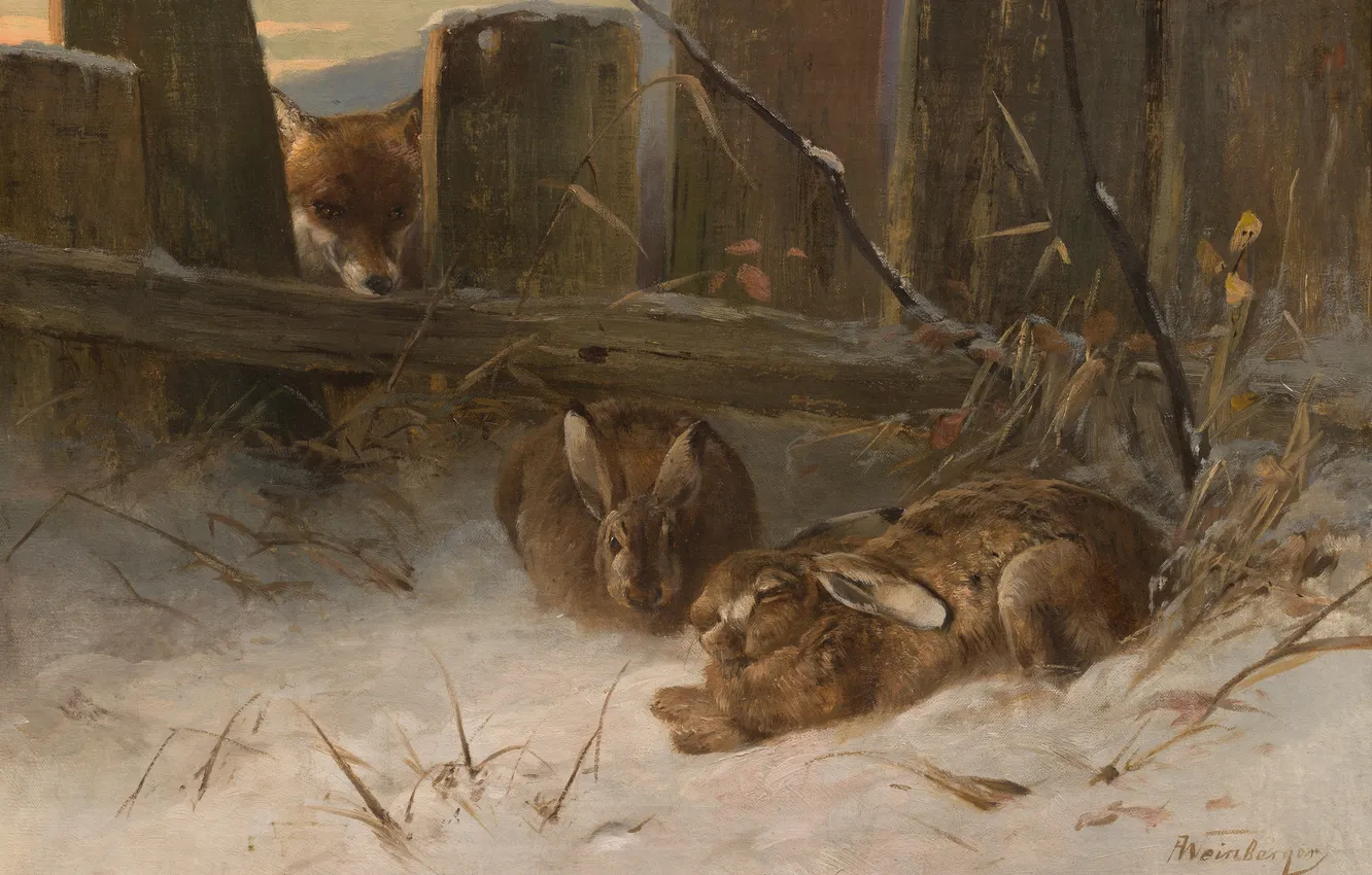 Photo wallpaper winter, snow, the fence, picture, Anton Weinberger, Fox and hares in the snow, Anton Weinberger