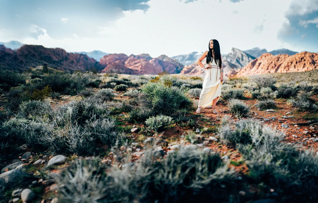 Photo wallpaper pose, dress, brunette