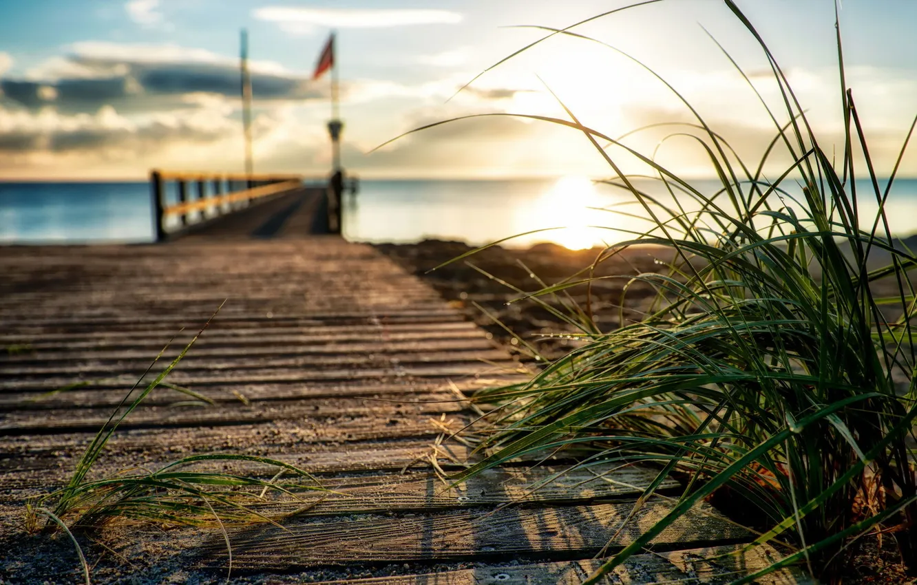 Photo wallpaper sea, grass, landscape, sunset, bridge