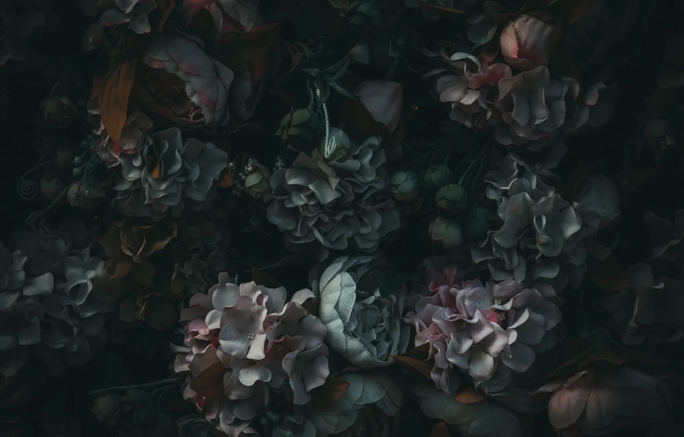 Photo wallpaper simple, wallpaper, flower, flowers, pattern, backgroud, plants and flowers, awesome flowers
