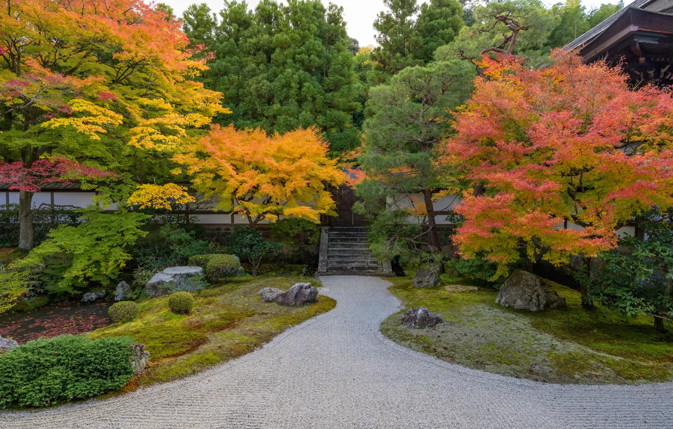 Photo wallpaper Nature, Autumn, The fence, Japan, Garden, Gate, Temple, Park