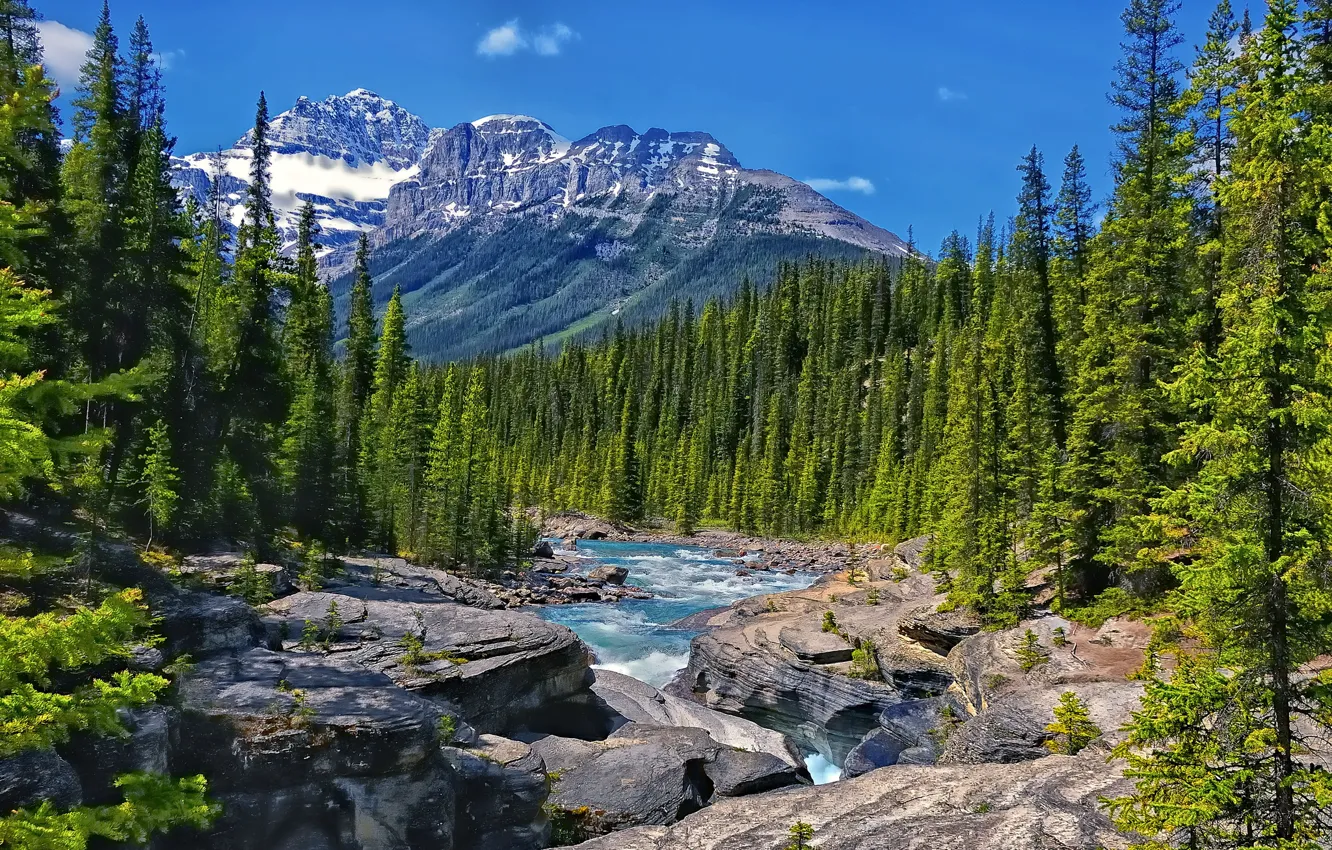 Photo wallpaper forest, trees, mountains, river, rocks, Canada, Albert, Alberta