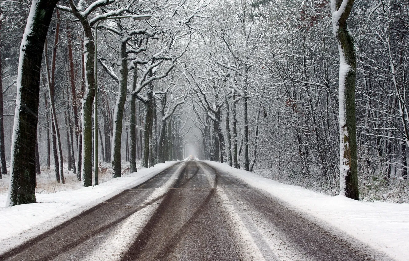 Photo wallpaper winter, road, forest