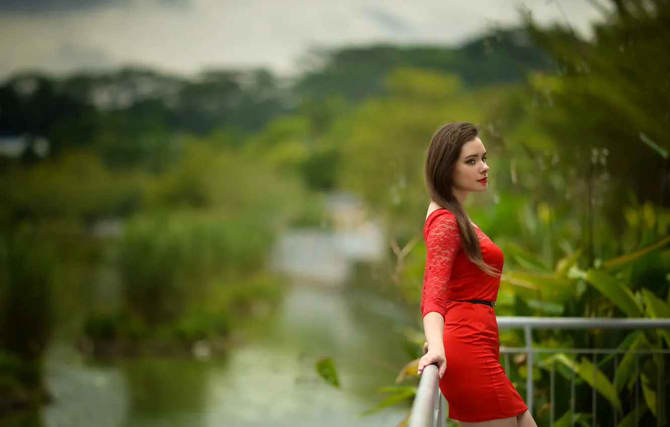 Photo wallpaper dress, sponge, in red, curls, Alisa, Warren.G