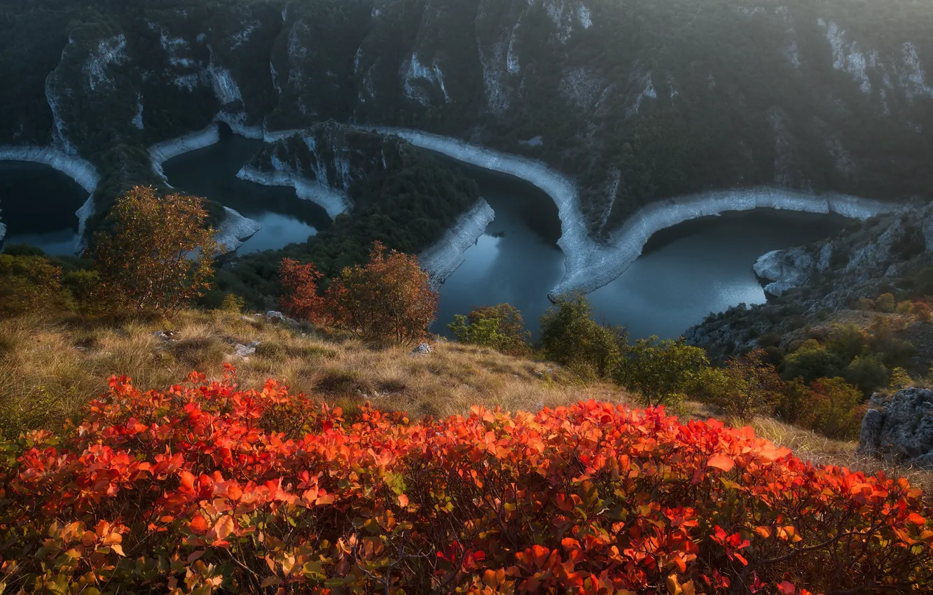 Photo wallpaper autumn, landscape, mountains, nature, river, vegetation, national Park, Serbia